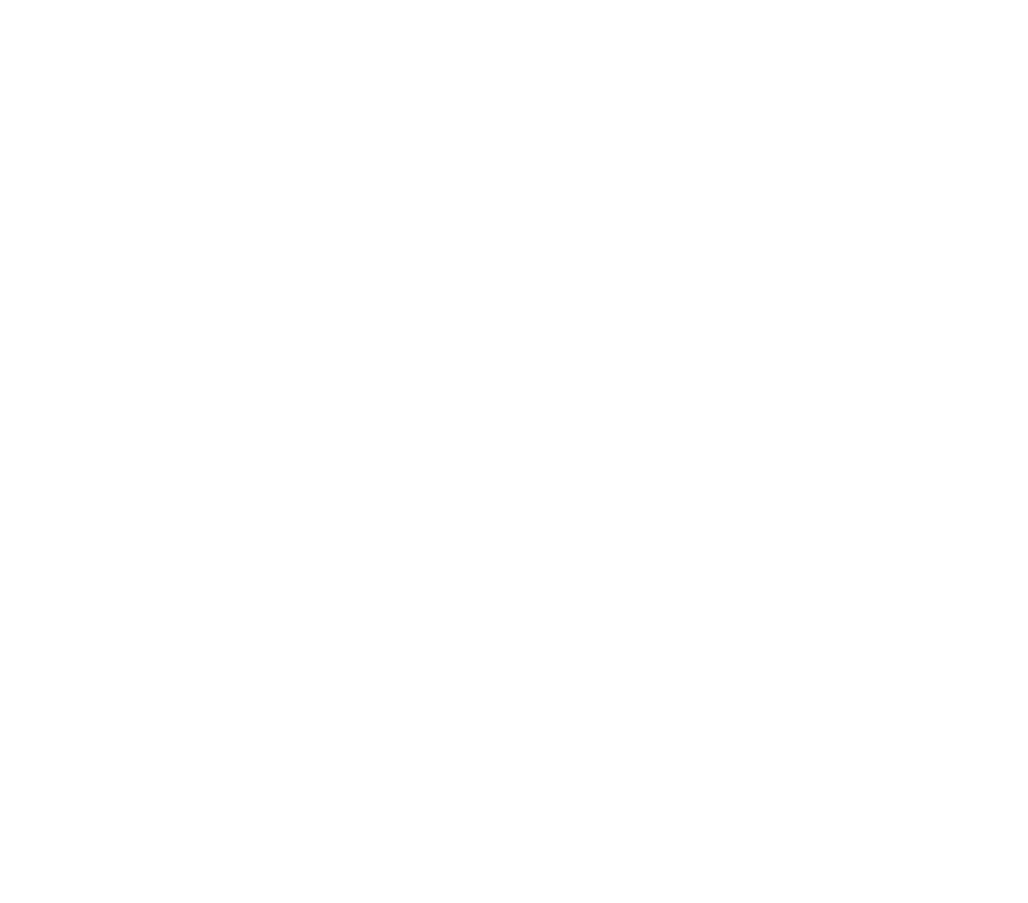 IWI White Logo